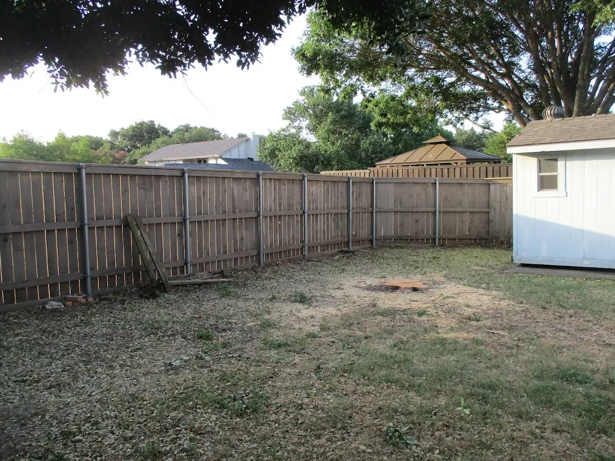 Cleared yard after professional tree removal in Floresville